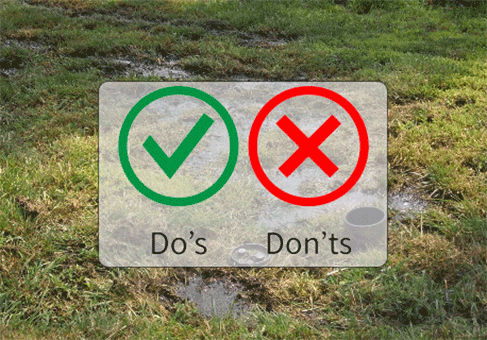 Septic Tank do's and don't